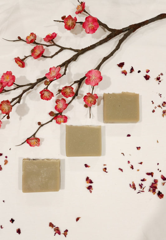 Earth Energy Soap Bar